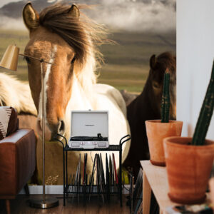 paarden woonkamer interieur inspiratie behang