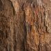 Foto 16 Hout