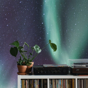 interieur inspiratie natuur noorderlicht behang