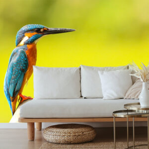 thema inspiratie dieren vogels bank