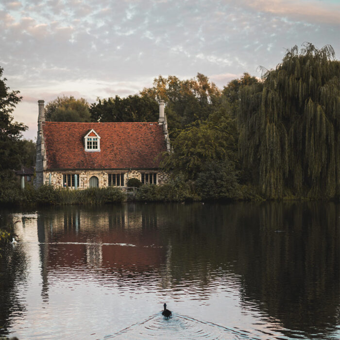 treurwilg cottage vijver eend