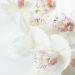 Foto 11 Orchidee