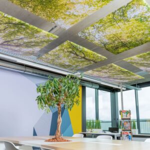 acinso-pro akoestische plafond panelen met fotoprint op maat